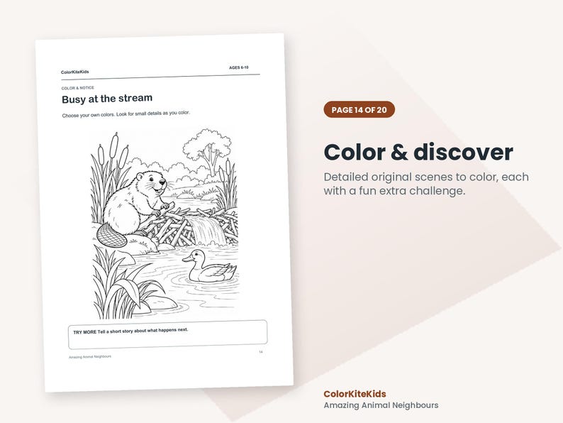 May include: A black and white coloring page titled Busy at the stream featuring a beaver on a dam and a duck in the water. The page includes the text ColorKiteKids, AGES 6-10, and a prompt to tell a short story about what happens next.