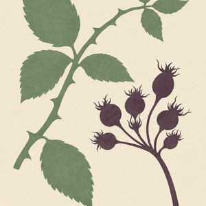 May include: A botanical print on a cream background featuring a green thorny stem with serrated leaves and a cluster of dark purple rose hips. The text HEDGEROW MEMORY is printed in a serif font at the bottom of the rectangular art piece.