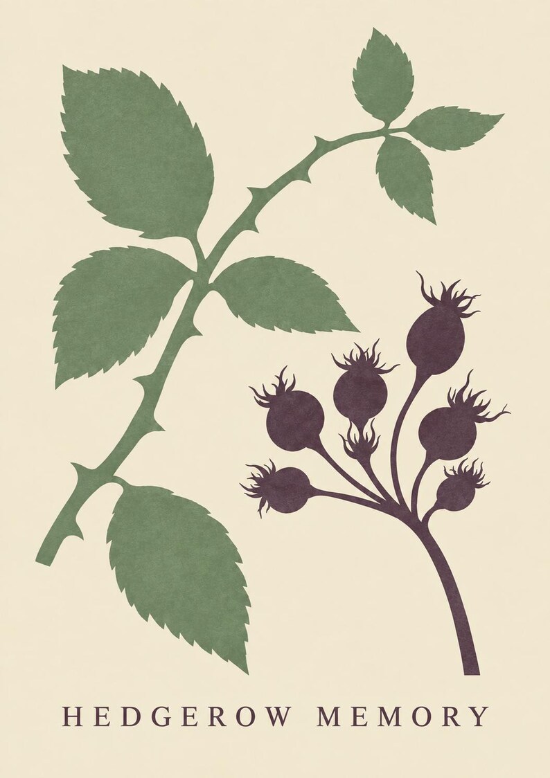 May include: A botanical print on a cream background featuring a green thorny stem with serrated leaves and a cluster of dark purple rose hips. The text HEDGEROW MEMORY is printed in a serif font at the bottom of the rectangular art piece.