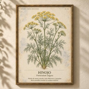 Puede incluir: Una l&aacute;mina bot&aacute;nica enmarcada con una ilustraci&oacute;n detallada de una planta de hinojo con flores amarillas y hojas verdes plumosas. El texto dice HERBARIO PLANTAS MEDICINALES 19/40, HINOJO, Foeniculum vulgare y una descripci&oacute;n en espa&ntilde;ol.