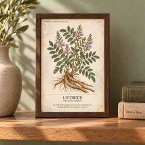 May include: A framed botanical print of a licorice plant with green leaves, lilac flowers, and exposed roots. The text reads: HERBARIUM MEDICINAL PLANTS, 23/40, LICORICE, Glycyrrhiza glabra, An herb with compound leaves and lilac flowers, famous for the sweet taste of its roots.