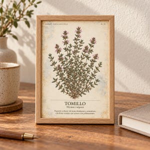 May include: A rectangular light wood frame containing a botanical print of a thyme plant with green leaves and small pink flowers. The print features the text "HERBARIO PLANTAS MEDICINALES", "TOMILLO", "Thymus vulgaris", and a descriptive paragraph.