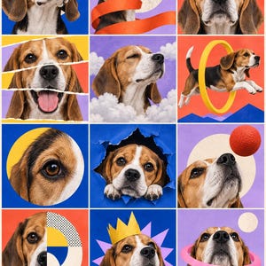 Puede incluir: Un collage de doce paneles cuadrados que muestra a un perro beagle en varias poses y entornos, incluyendo con gafas de sol azules, saltando a trav&eacute;s de un aro amarillo, asom&aacute;ndose por papel azul rasgado y con una corona de papel amarilla.