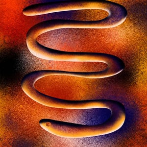 May include: A smooth, golden-orange, serpentine form with a single circular hole at the bottom tip, set against a vibrant, textured background of blended red, orange, yellow, and deep purple spray-painted colors with a grainy, speckled finish.