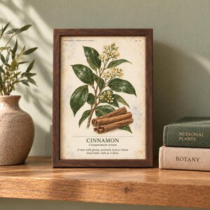 May include: A framed botanical print featuring a detailed illustration of a cinnamon plant with green leaves, small flowers, and curled bark sticks. The text reads CINNAMON, Cinnamomum verum, and A tree with glossy, aromatic leaves whose inner bark curls as it dries.