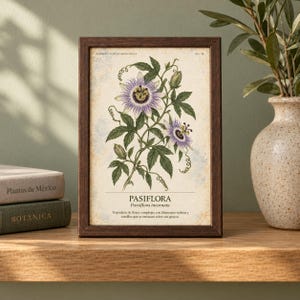 May include: A dark brown wooden frame containing a botanical print of a purple and white passion flower. The print features the text HERBARIO PLANTAS MEDICINALES, PASIFLORA, Passiflora incarnata, and a description in Spanish on a cream background.