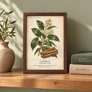 May include: A framed botanical print featuring a detailed illustration of a cinnamon plant with green leaves, small white flowers, and cinnamon sticks. The text reads CANELA, Cinnamomum verum, and a description in Spanish. The frame is dark brown wood.