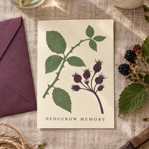 May include: A rectangular greeting card with a cream-colored background featuring a botanical illustration of green leaves and dark purple rose hips. The text HEDGEROW MEMORY is printed in black at the bottom center of the card, which is paired with a dark purple envelope.