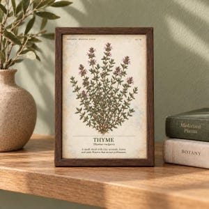 May include: A rectangular dark wood frame containing a botanical print of a thyme plant with green leaves and pink flowers. The print features the text HERBARIUM MEDICINAL PLANTS, THYME, Thymus vulgaris, and a description of the plant.