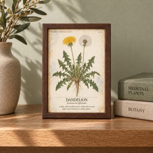 May include: A rectangular dark wood frame containing a botanical print of a dandelion. The print features a yellow flower, a white seed head, and green leaves with the text DANDELION Taraxacum officinale and a description of the plant.