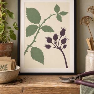 May include: A framed botanical print featuring a cream-colored background with a green illustration of a thorny stem with leaves and a dark purple illustration of a cluster of rose hips. The artwork is enclosed in a simple black rectangular frame.