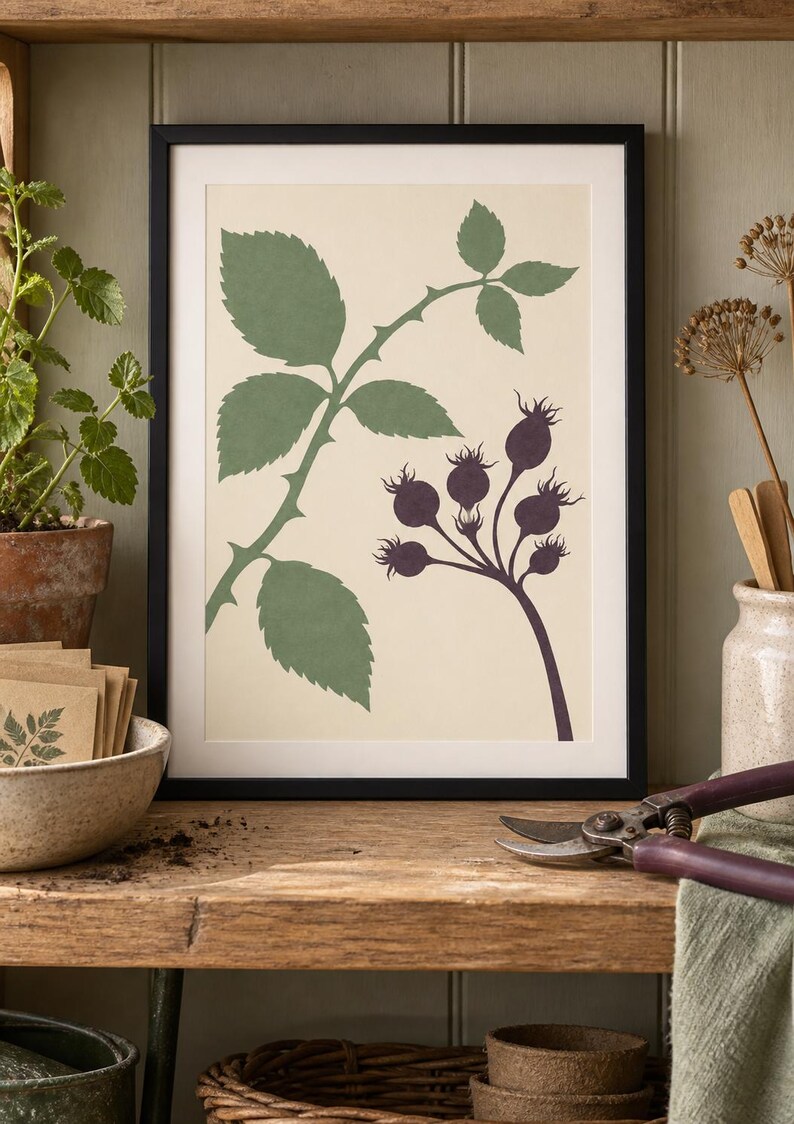 May include: A framed botanical print featuring a cream-colored background with a green illustration of a thorny stem with leaves and a dark purple illustration of a cluster of rose hips. The artwork is enclosed in a simple black rectangular frame.