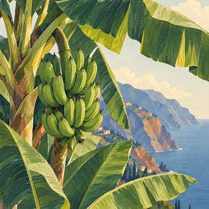 May include: A vibrant painting of a banana tree with a large bunch of green bananas hanging from the stalk. The scene features broad, layered green leaves in the foreground, with a coastal landscape of cliffs, blue water, and small houses in the back.