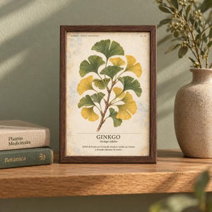 Pu&ograve; includere: Una stampa botanica incorniciata raffigurante un ramo di ginkgo biloba con foglie verdi e gialle a forma di ventaglio. La stampa include il testo GINKGO, Ginkgo biloba e una descrizione in spagnolo. La cornice &egrave; in legno marrone scuro.
