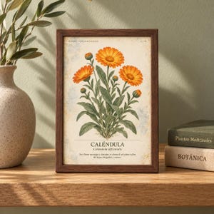 May include: A rectangular dark wood frame containing a botanical print of orange calendula flowers with green leaves. The print features the text CALENDULA, Calendula officinalis, and a descriptive sentence in Spanish on a cream-colored background.