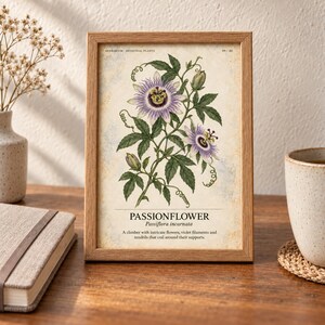 May include: A framed botanical print featuring a detailed illustration of a passionflower with purple and white petals, green leaves, and tendrils. The text reads PASSIONFLOWER, Passiflora incarnata, and a description of the plant as a climber.