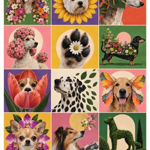 May include: A grid of twelve artistic panels featuring various dog breeds integrated with floral and botanical elements. The images include a spaniel with flowers, a terrier in a sunflower, a greyhound with leaves, a poodle, a paw, a dachshund, a beagle in a tulip, a dalmatian, a golden retriever with butterfly wings, a chihuahua, a collie, and a topiary dog.
