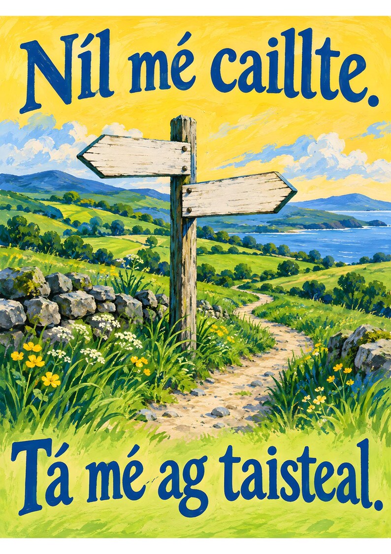Op de afbeelding: Een landschapsschilderij met een houten wegwijzer met twee lege pijlen. De tekst "N&iacute;l m&eacute; caillte." staat bovenaan en "T&aacute; m&eacute; ag taisteal." onderaan. De sc&egrave;ne toont een groen kustpad, stenen muren en gele bloemen in het gras.