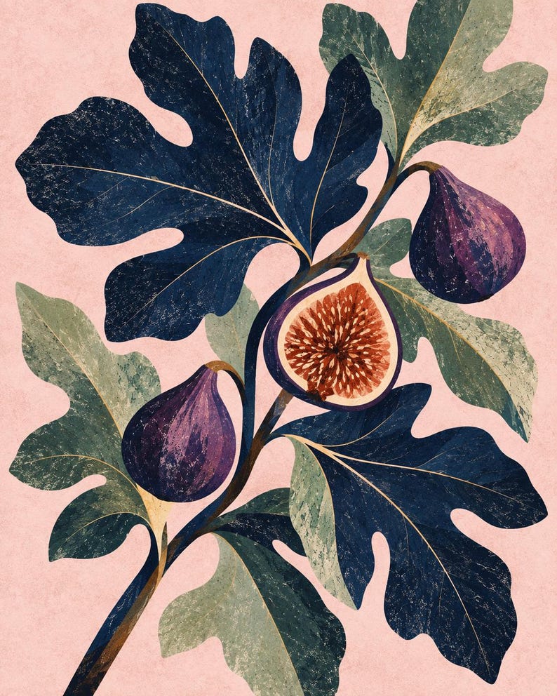 May include: A botanical illustration of a fig branch against a light pink background. The branch features deep navy blue lobed leaves, two whole purple figs, and one halved fig showing a textured, reddish-brown interior with visible seeds.