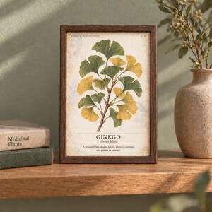 Pu&ograve; includere: Una cornice rettangolare in legno scuro contenente una stampa botanica di un ramo di Ginkgo biloba con foglie verdi e gialle a forma di ventaglio. La stampa riporta il testo GINKGO Ginkgo biloba e una descrizione su sfondo color crema.