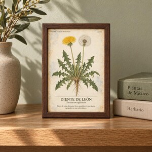 May include: A rectangular dark wood frame containing a botanical print of a dandelion plant. The print features a yellow flower, a white seed head, green serrated leaves, and roots. Text includes "DIENTE DE LE&Oacute;N" and "Taraxacum officinale".