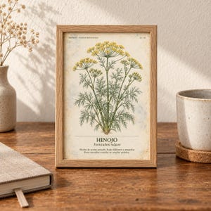 Puede incluir: Una l&aacute;mina bot&aacute;nica enmarcada con una ilustraci&oacute;n detallada de una planta de hinojo con flores amarillas y hojas verdes plumosas. El texto dice HINOJO, Foeniculum vulgare, e incluye una descripci&oacute;n en espa&ntilde;ol de la planta.
