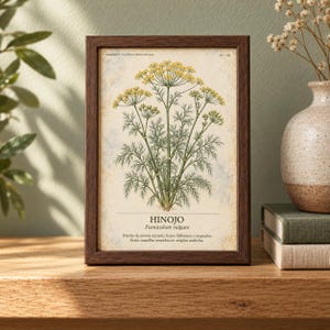 Puede incluir: Una l&aacute;mina bot&aacute;nica enmarcada con una ilustraci&oacute;n detallada de una planta de hinojo con flores amarillas y hojas verdes plumosas. La l&aacute;mina incluye el texto HINOJO, Foeniculum vulgare y un p&aacute;rrafo descriptivo en espa&ntilde;ol.
