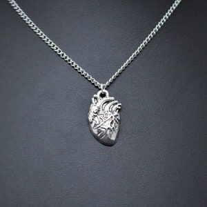 Biolojewelry - Anatomically Correct Heart Love Biology Anatomy Medical Theme Necklace