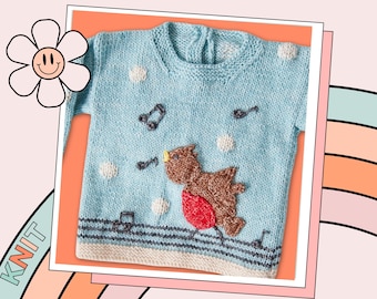 May include: A light blue knitted sweater with a robin applique, musical notes, and white polka dots. The sweater has a white ribbed trim around the neck and bottom.