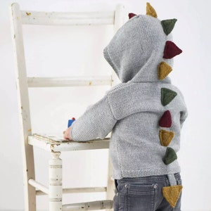 Può includere: Una felpa grigia a maglia con una coda di dinosauro con punte di feltro verde, rosso e giallo. La felpa ha un cappuccio ed è indossata da un bambino.
