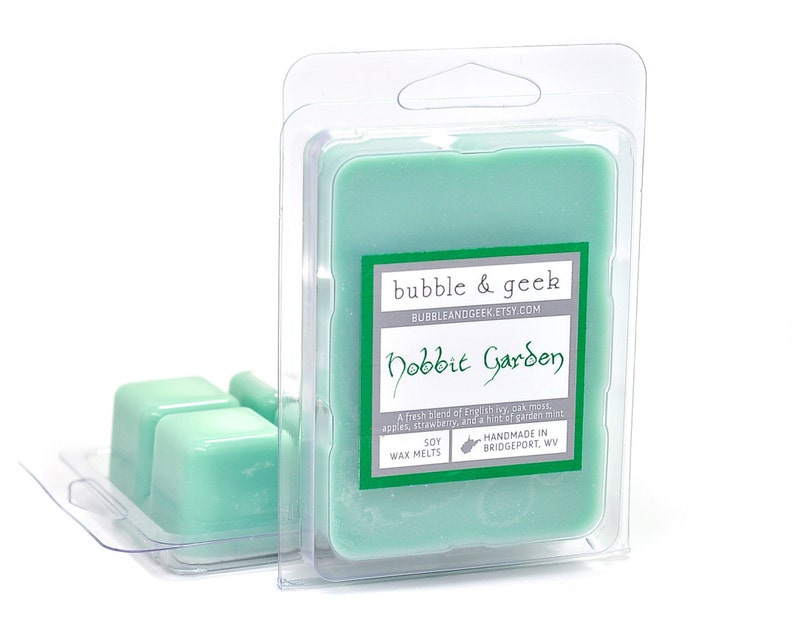 Pick 6 Scented Soy Wax Tart Melt Packs Bubble and Geek bookish scents image 5