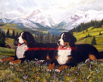 Bernese Mountain Dog Limited Edition Print