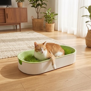 Peut inclure: Un lit pour animal de forme ovale avec un extérieur blanc doté de détails nervurés verticaux et un bassin intérieur vert clair. Le lit contient des touffes d'herbe verte fraîche et un chat tigré orange et blanc se repose à l'intérieur.