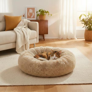 May include: A round, plush, beige pet bed with a thick, shaggy faux fur texture. A calico cat with white, orange, and black fur is curled up and sleeping in the center of the soft, circular cushion, which rests on a light-colored woven rug.