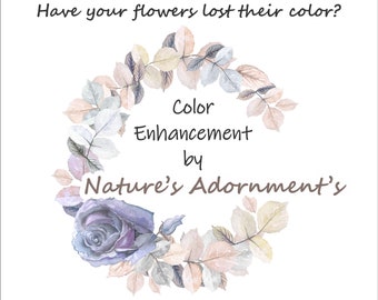 Have your FLOWERS lost their color? - Let Nature's Adornments add color back to your petals - COLOR ENHANCEMENT