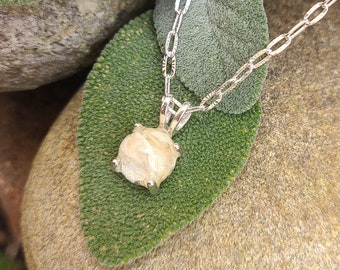 PENDANT Necklace Charm made from your preserved Wedding or Memorial Flowers  Pet Cremains or Fur Custom Bridal or Funeral Keepsake  POPPY