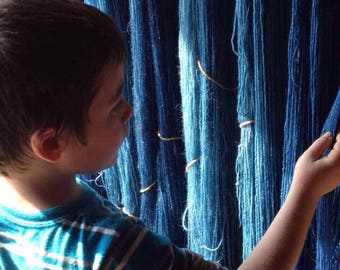 Japanese indigo 2024 dye season