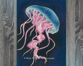 Jellyfish Original Drawing, Pastel on Black Paper, 12x18, Wall Art, Wall Decor, Pastel Drawing, Art, Nautical Art, Nautical Decor