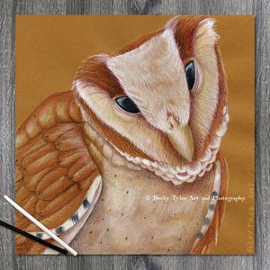 Oriental Bay Owl Original Drawing, Pencil Drawing, Pencil Art, Owl Art, Owl Decor, Wall Art, Wall Decor