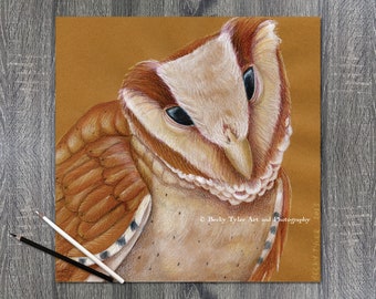 Oriental Bay Owl Drawing, Colored Pencil on Tan Paper, Owl Art, Owl Wall Art, Owl Decor, Bird Art, Cottagecore, Wall Art, Pencil Drawing