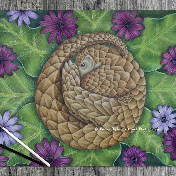 Pangolin Original Drawing, Pangolin Art, Pangolin Wall Art, Animal Art, Animal Drawing, Cottagecore, Farmhouse Decor