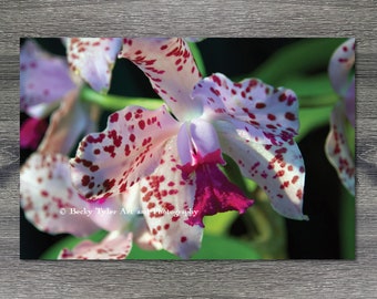 Orchid, Macro Photograph, Farmhouse Decor, Cottagecore, Giclee Print, Orchid Print, Macro Flower Print, Photography