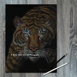 Tiger Original Drawing, Colored Pencil on Black Paper, Pencil Drawing, Pencil Art, Wall Art, Wall Decor