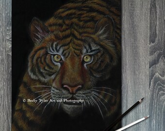 Tiger Original Drawing, Colored Pencil on Black Paper, Tiger Art, Tiger Wall Art, Tiger Drawing, Bengal Tiger, Tiger Decor, Cottagecore
