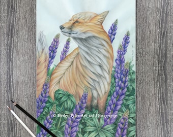 Red Fox in Lupine, Pencil Drawing, Colored Pencil Drawing, Wall Art, Wall Decor, Animal Drawing