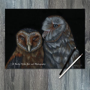 Barn Owls Original Drawing, Owl Art, Owl Drawing, Pencil Drawing, Wall Art, Wall decor