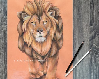 African Lion Drawing: Colored Pencil & Watercolor Wall Art