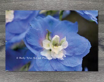 Larkspur, Macro Photography, Macro Photo, Farmhouse Decor, Cottagecore, Giclee Print, Digital Print, Macro Flower Print, 11x14, 8x10, 5x7