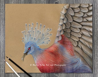 Victoria Crowned Pigeon Original Drawing, Pencil Drawing, Bird Drawing, Bird Wall Art, Americana, Cottagecore, Farmhouse Decor