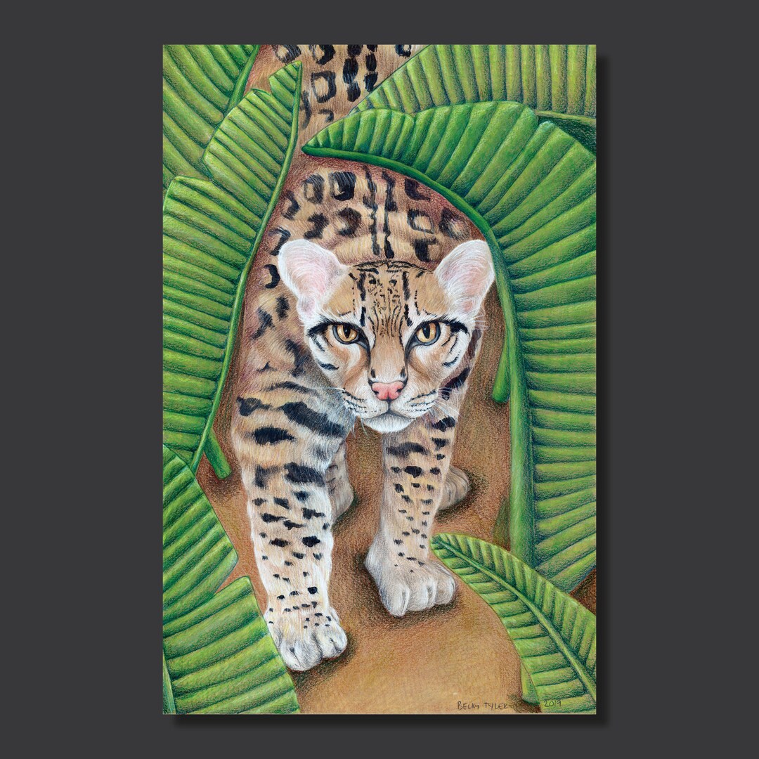 Ocelot Original Drawing Ocelot Art Ocelot Decor Ocelot Wall - Etsy